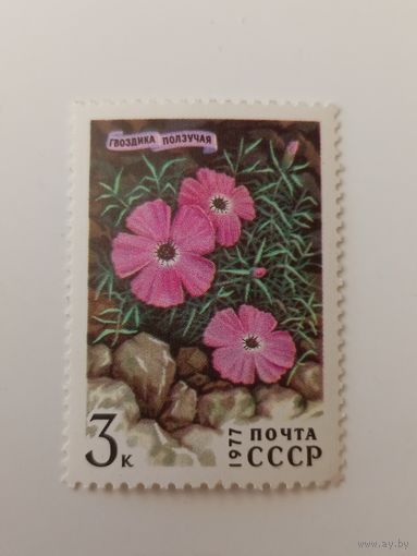 1977 СССР. Цветы Сибири