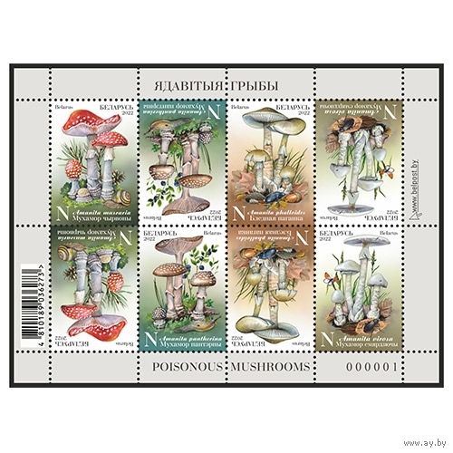 2022 БЕЛАРУСЬ  Малый лист "Ядовитые грибы" MNH