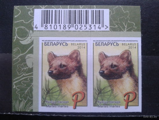 2014 Куница** пара, угол