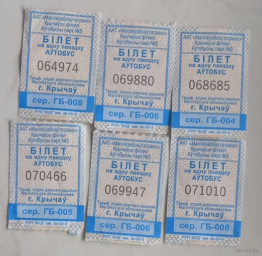 Билет Кричев + Климовичи