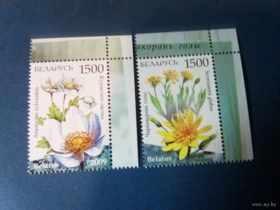 Беларусь 2009 серия цветы