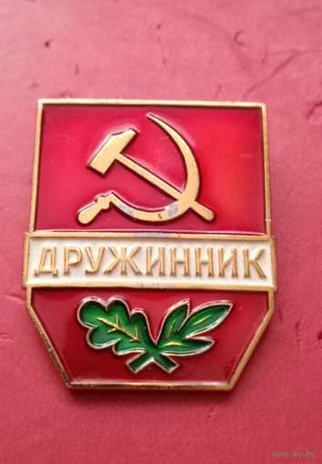 Знак "Дружинник"