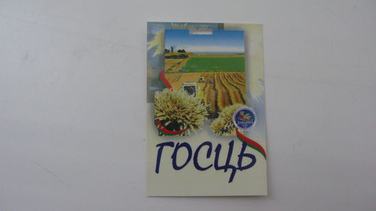 Дожинки 2010 Бэйджик Гость