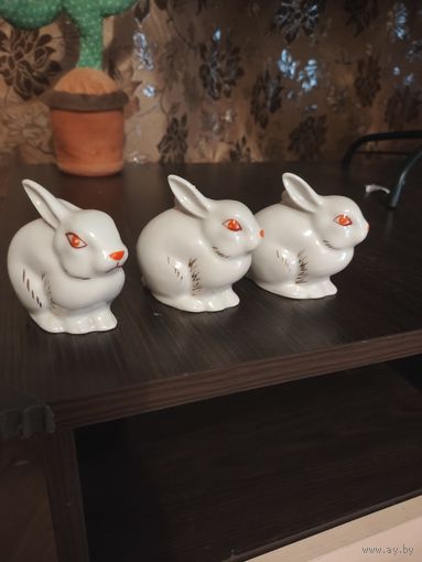 Зайцы,Полонский ф/з.