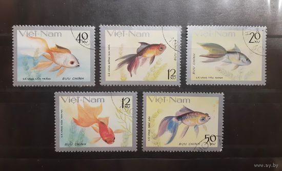 Вьетнам. Фауна. Рыбы (14)