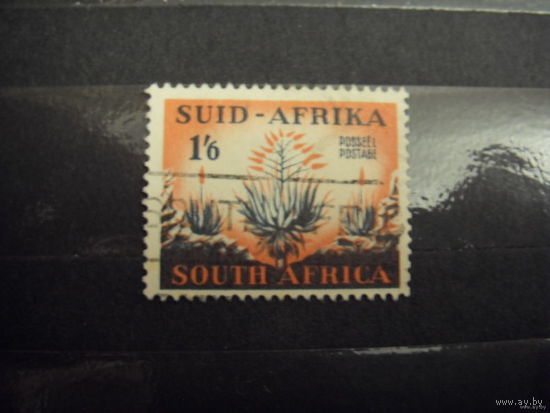 Британская колония Южная Африка флора (3-7)