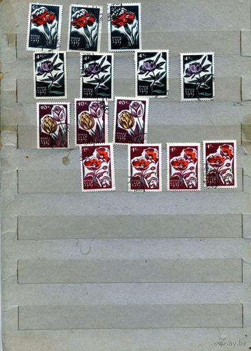 СССР, 1965,  ЦВЕТЫ,   сборка  15м по 20 коп шт гашеная