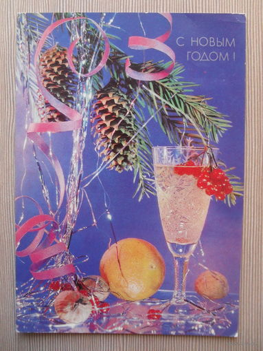 ПОДПИСАННАЯ ОТКРЫТКА СССР. С НОВЫМ ГОДОМ! фото. И. КРОПИВНИЦКОГО. 1991 год.