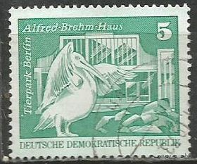ГДР. Берлинский зоопарк. Пеликан. 1973г. Mi#1842.