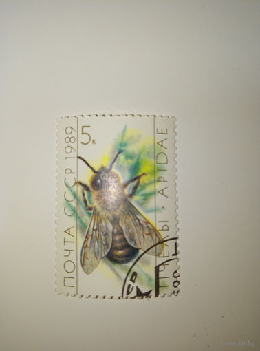 Марки СССР 1989 ПЧЁЛЫ 5к.