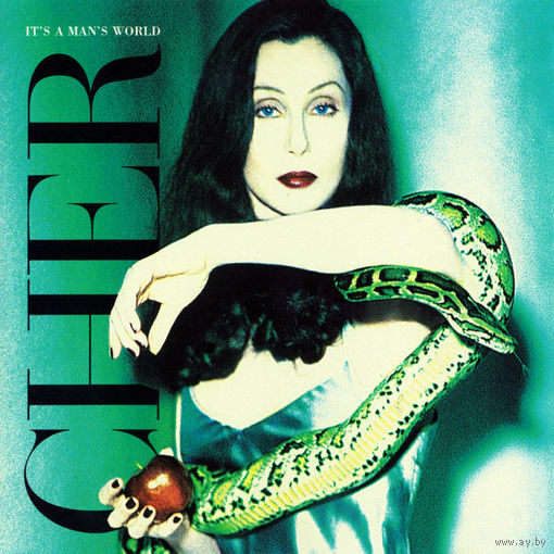 Cher It's A Man's World