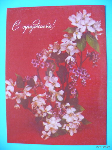 Агладзе Н., С праздником! 1990, чистая.