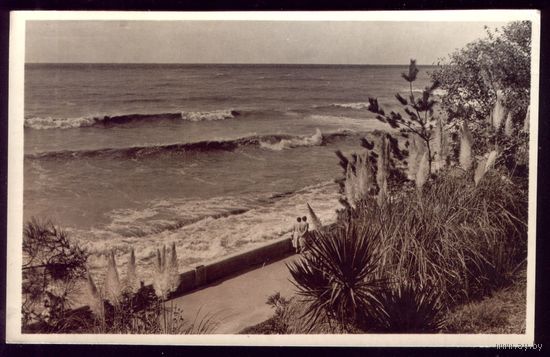 1967 год Сочи Вид на море