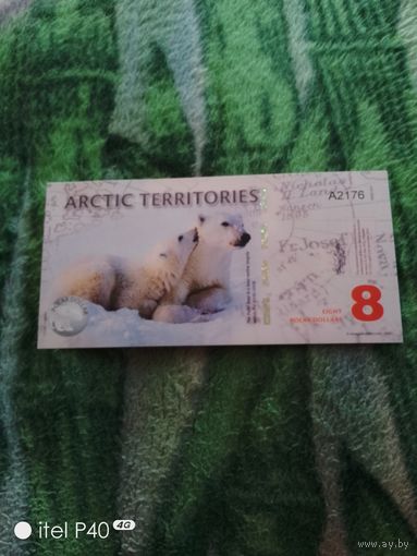 Арктик 8