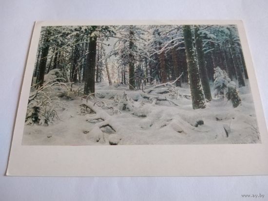 Открытка 1964г. И. Шишкин. Зима.