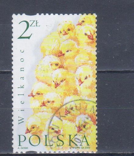 [2329] Польша 2002. Фауна.Птицы.Цыплята. Гашеная марка.