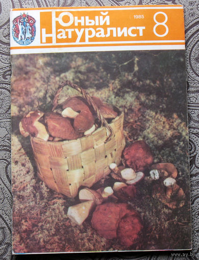 Журнал Юный натуралист номер 8 1985