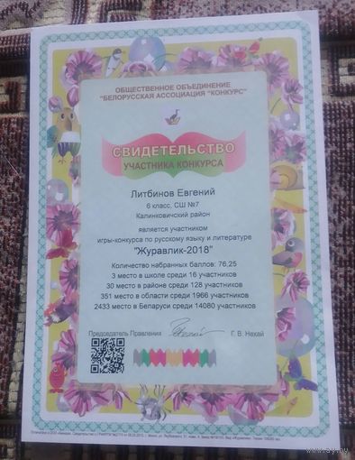 Свидетельство участника конкурса.