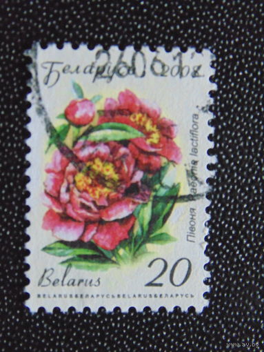 Беларусь 2008 г.