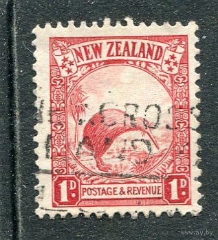 Новая Зеландия. Стандарт. Фауна. Киви