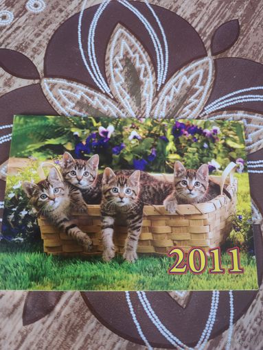 Календарик,коты,2011