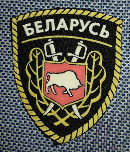 Шеврон в коллекцию