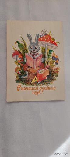 Открытка чистая