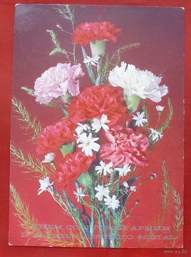 С днём СА и ВМФ. Чистая. 1988 года. Дергилева. 1414.