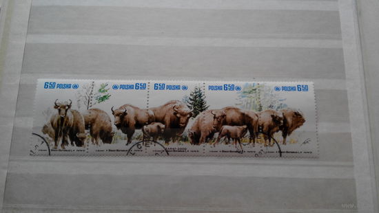 Фауна, зубры, Польша, 1981 5 марок