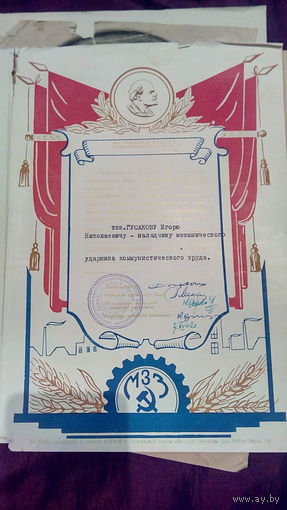 Диплом МЗЗ