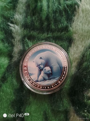Серия медведи Арктика