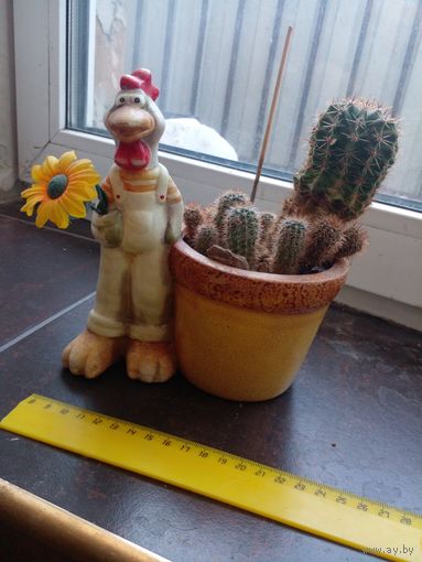 Горшок с цветком Кактус 17Х16 см.