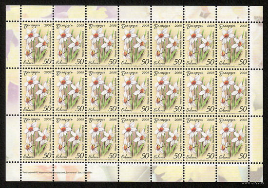 Беларусь. 2008. Стандарт. Нарцисс (50р) (з.134-2011) Лист