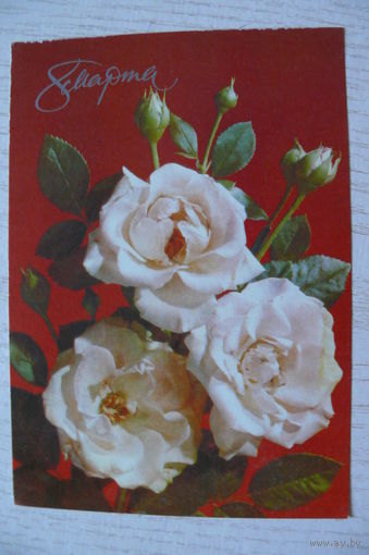 Дергилев И., 8 Марта, 1990, чистая.