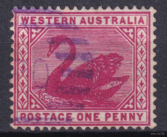 147.Aust. Великобритания. Австралийские штаты. Западная Австралия. Чёрный лебедь. Стандарт. 1890/93 гг. 1p. Mi.#34.
