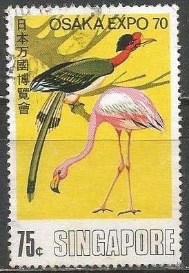 Сингапур. Птицы. Красный фламинго. 1970г. Mi#114.