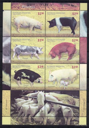 Аргентина 2011. Домашние животные. Свиньи малый лист 3439