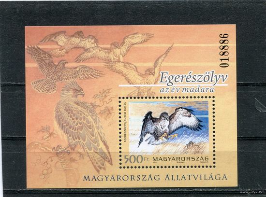 Венгрия. Фауна. Хищные птицы. Блок
