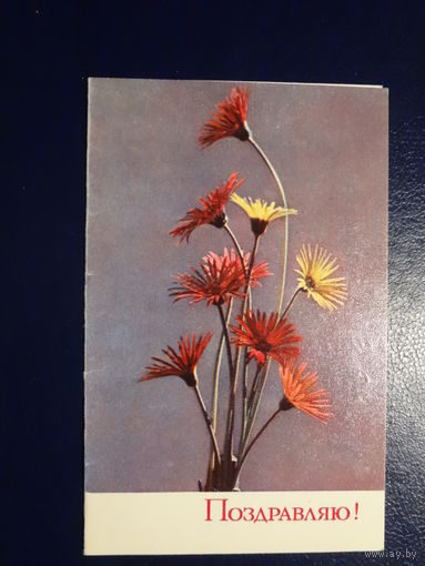 Поздравляю!  Цветы.  1970 г.  подписанная.  двойная.