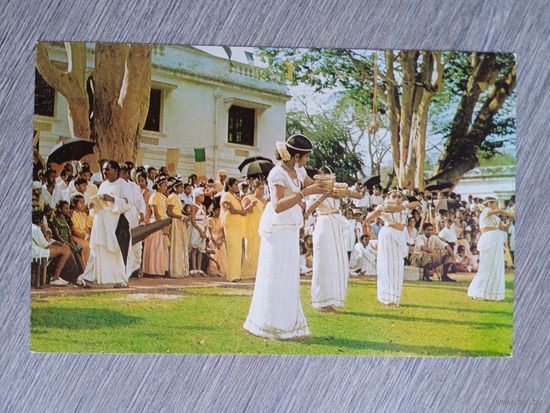 Этнография. Цейлон. Народный танец