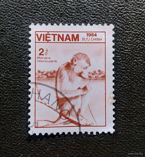 Марка Вьетнам 1984 год Фауна