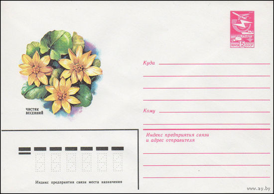 Художественный маркированный конверт СССР N 16521 (25.10.1983) Чистяк весенний