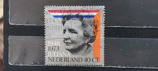 РАСПРОДАЖА НИДЕРЛАНДЫ 1973г. Полная серия. Гаш.