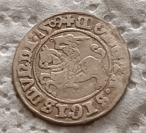 Полугрош 1509