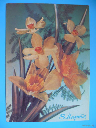 Дергилев И., 8 Марта, 1987, чистая.