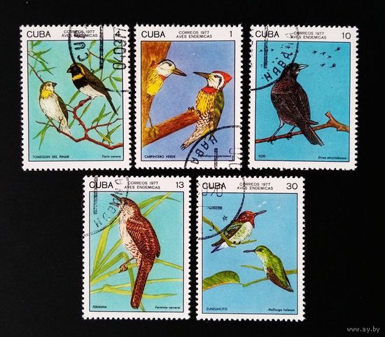 2197-2201  Куба 1977 год (5 марок) Эндемическая фауна: птицы, Гашеный