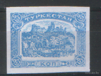 ГВ. Туркестан. 1919. Фантастика. Стандарт 25к. Чист.
