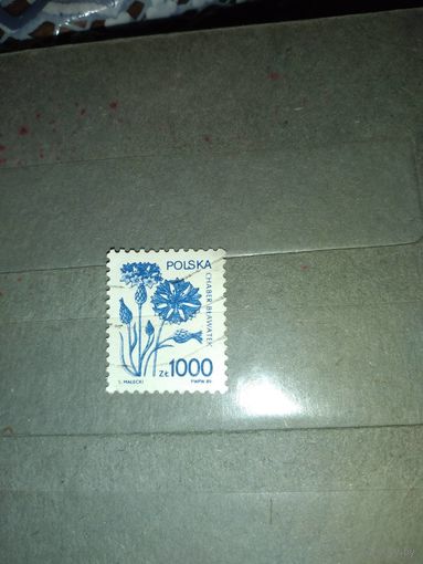 ПОЛЬША, 1989 ,  СТАНДАРТНЫЙ выпуск, 1м (на "СКАНЕ" справочно приведены номера и цены по  Michel)
