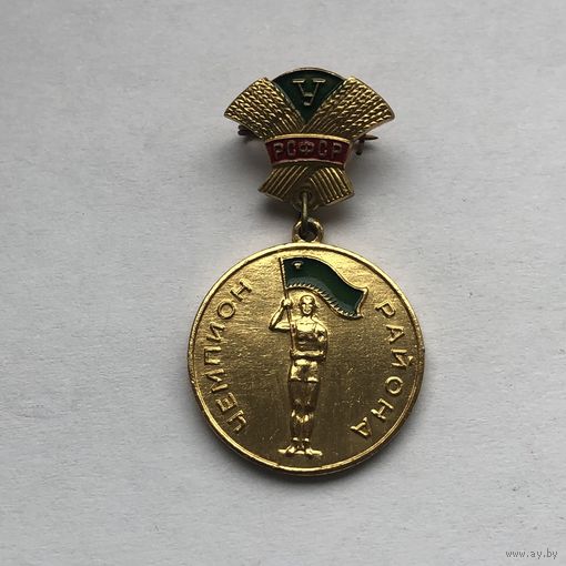 Чемпион района РСФСР ДСО Урожай