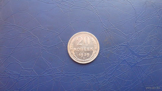 20 копеек 1929                                                    (2446)